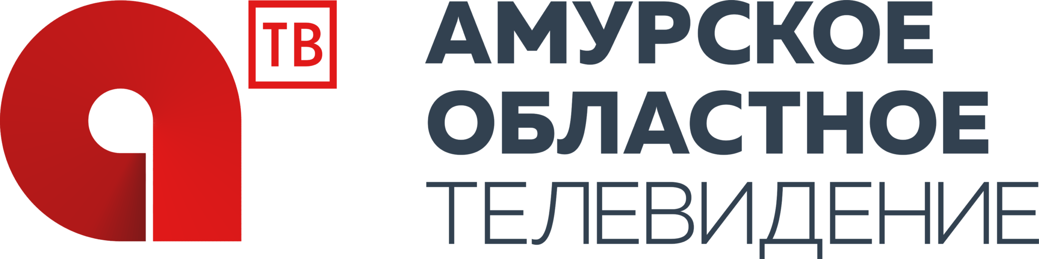 Тв амурская область. Амурское областное Телевидение. Амурское областное Телевидение Благовещенск. Амурское областное Телевидение лого. Областной канал логотип.